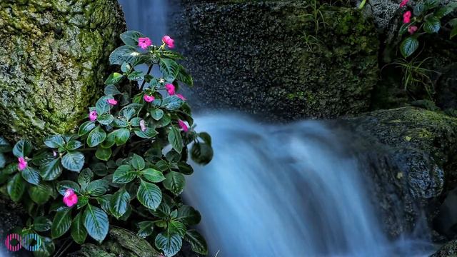 Relaxing Waterfall Music for Sleep, Study, Focus, Meditation