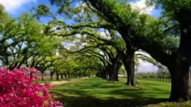 Roberto y Sara Al autor de la vida