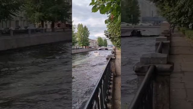 17.SHORTS. Давно не тайна 2.