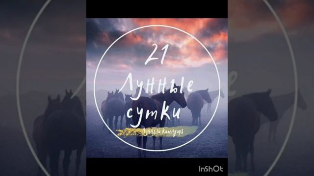 21 Лунные сутки