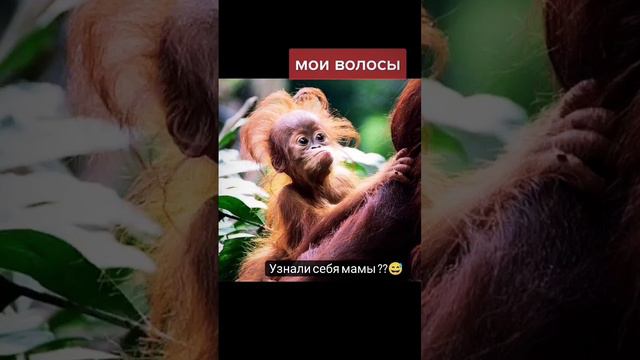 Организм женщины после родов