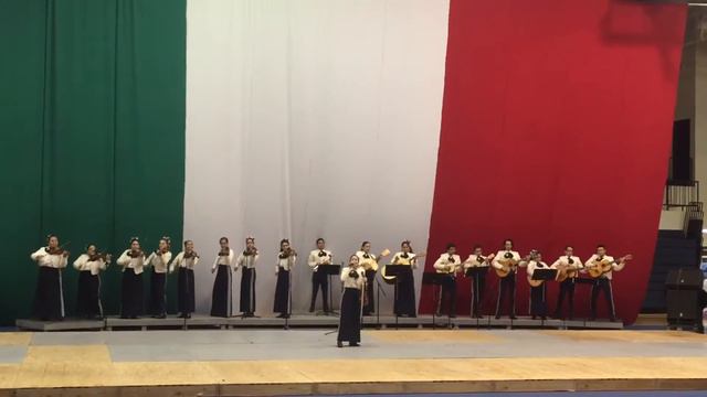 2016 Hidalgo Mariachi