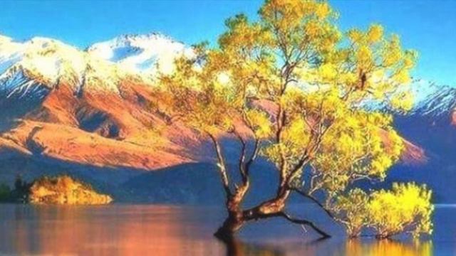 Serenata, Op.3 Nº 1 (Enrico Toselli)