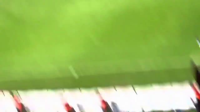 Nwakaeme, Cornelius, Djaniny goller - tribün görüntüleri