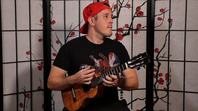 Did you know these 8 songs were possible on Ukulele?? -Andrew Molina