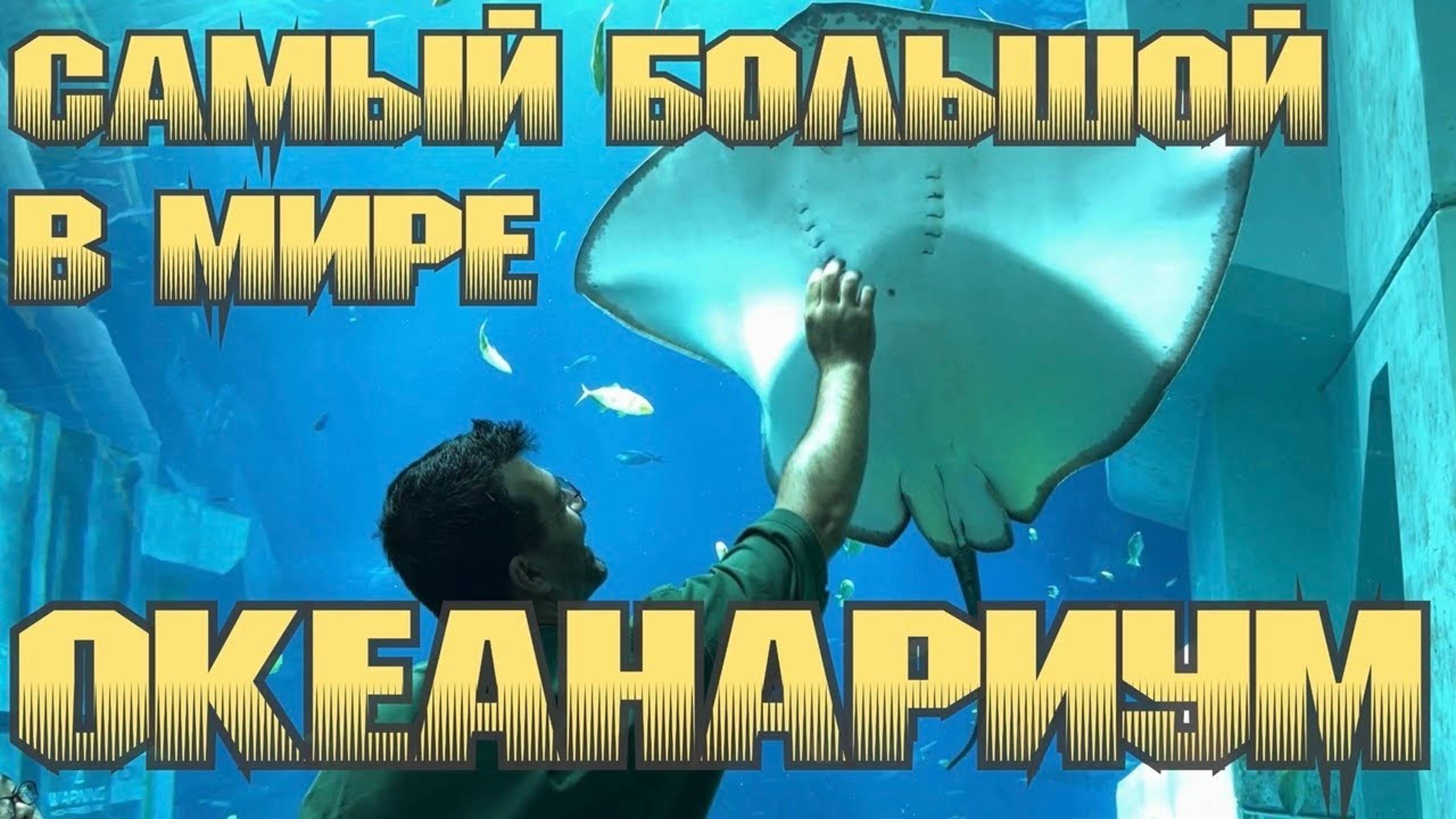 ЧЕМ ЗАНЯТЬСЯ Самый красивый океанариум в мире! SeaWorld Abu D