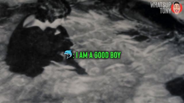 She had a relationship with a dolphin (true story)