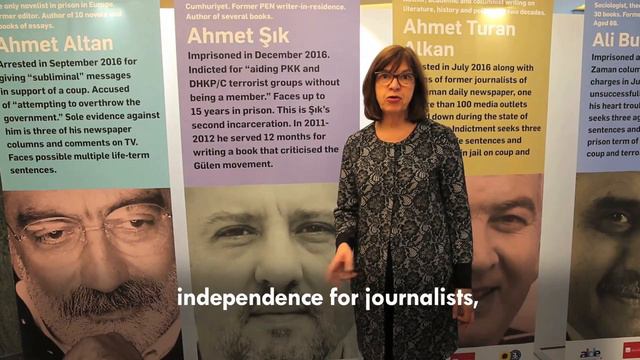 Opening remarks of  MEP Rebecca Harms at the exhibition on Turkish writers and journalists