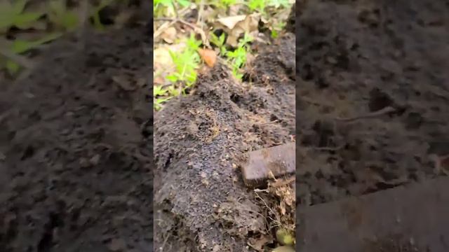 Мои находки металлокоппа #металлокоп #коп #находки #железо #2023 #август