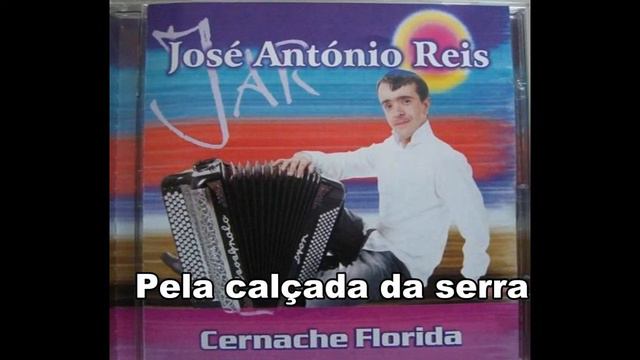 José António Reis   Pela calçada da serra