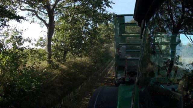 Mais Häckseln 2021 + Sound | Hof Voigt | -Nordfriesland