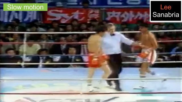 Seung Hoon Lee vs Jose Sanabria, Widescreen Match Highlights, Boxing Title Fight