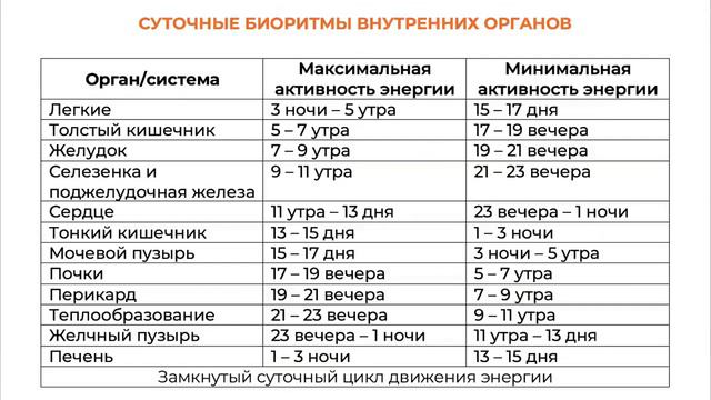 Суточные биоритмы внутренних органов | Огулов А Т