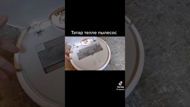 Татарский робот пылесос