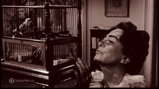 Joan Crawford Is Wonder Woman