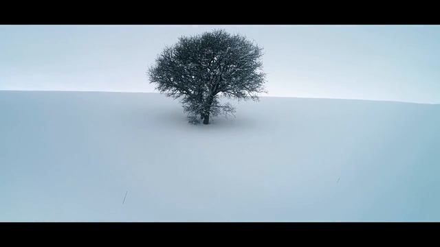 Post Luctum - Frozen Hearts (visualizer)