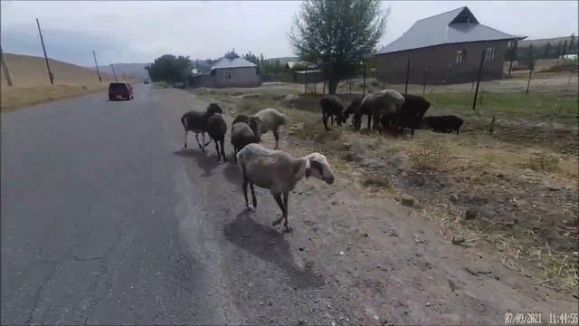 #11. Арстанбап, малый водопад