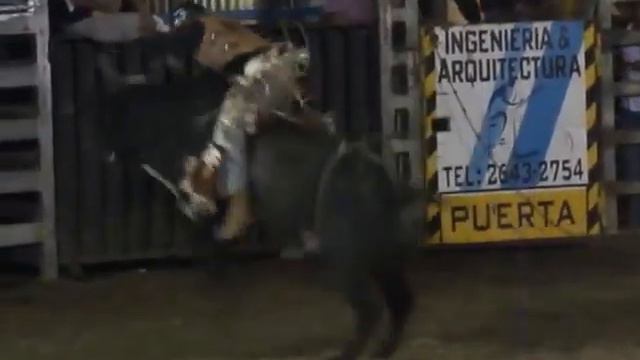 Toro El Esencia (Macho Carballo)-Herbert Matarrita (Colorado)