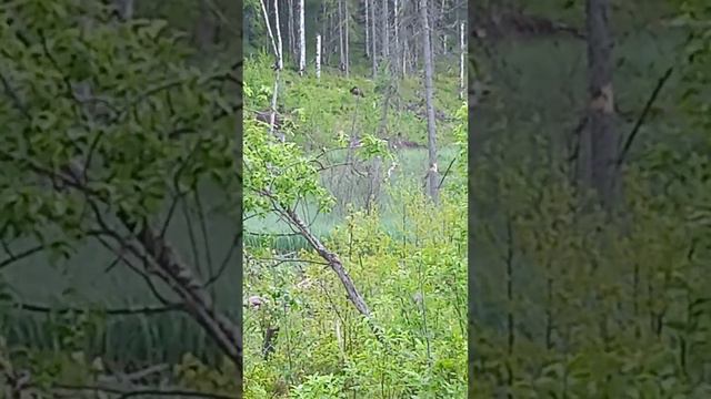 31 августа 2023 г.