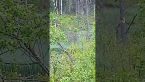 31 августа 2023 г.