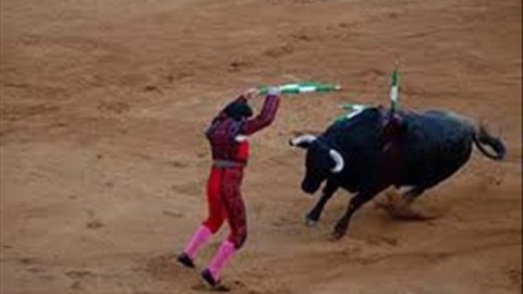 Tony Romo The Matador