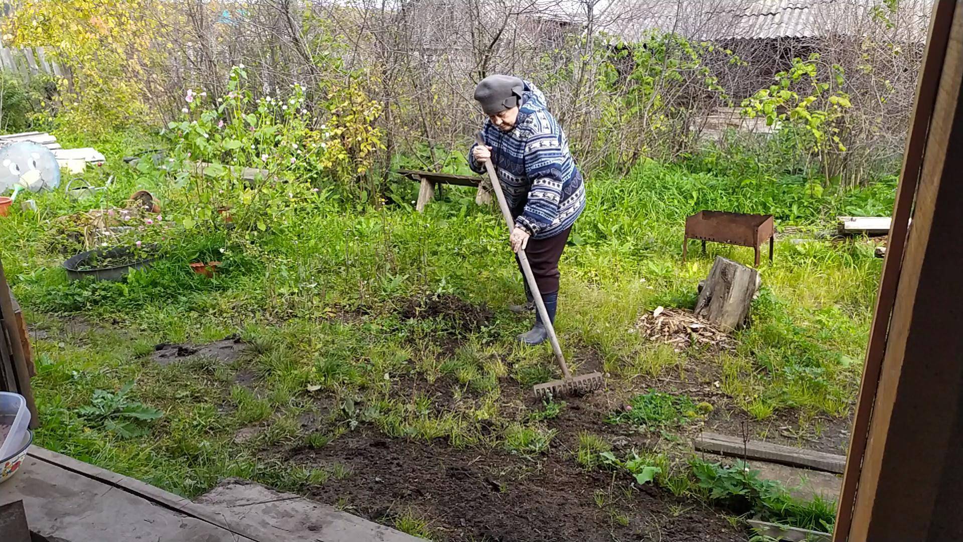 Завершение сезона уборка грядок и подготовка к зиме