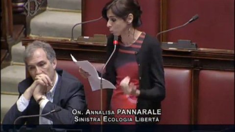 Pannarale dichiarazione di voto