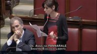 Pannarale dichiarazione di voto