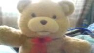 Teddy aragon