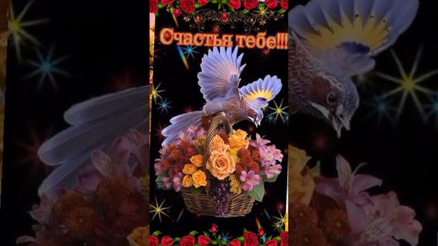 ovsch288_2024-09-22-07-09-27_1726970967087.mp4