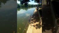 Taufik mp. Ngabuburit mancing di Setu Lebak wangi sawangan Depok