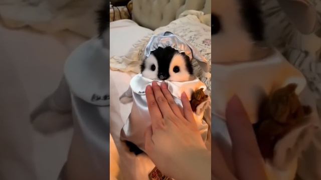 это что-то новенькое