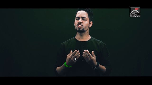 Nauha 2020 | Shahadat Bibi Fatima Zahra(s) | MERE BABA HATA JAB SE TERA SAYA | Shahbaz Ali