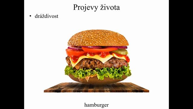 6. třída (Př, 08) - Projevy a podmínky života