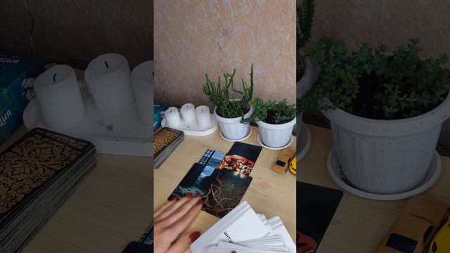 Расклад🥰 МЫСЛИ ЧУВСТВА ДЕЙСТВИЯ