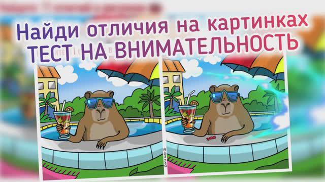 Найдите 11 отличий на картинках про капибару на отдыхе. Упражнение для тренировки памяти и внимания.
