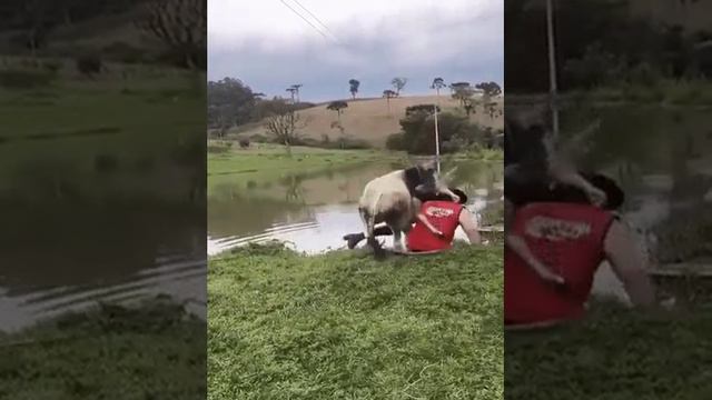 Говорил же тебе,что на рыбалку нужно одеваться попроще..😳 😊 👏