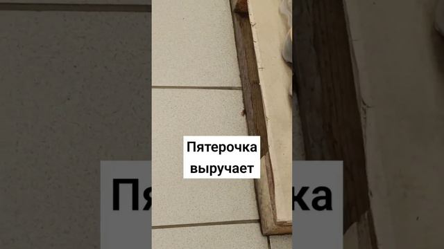 Голос пятёрочки #пятерочка #таракан #тараканчик #5