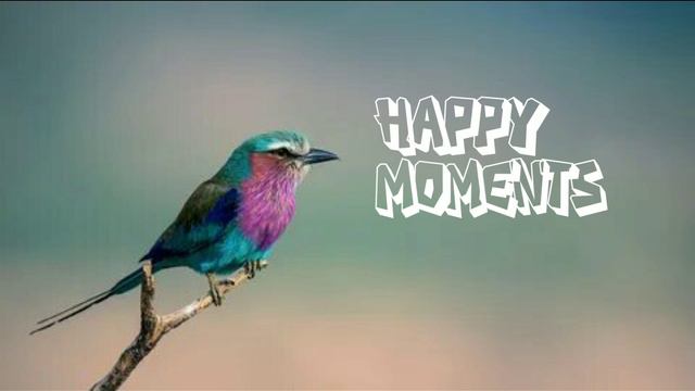 SPIKE 5348 - HAPPY MOMENTS