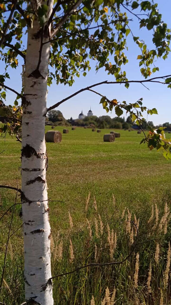 Херувимская песнь Г.Львовский