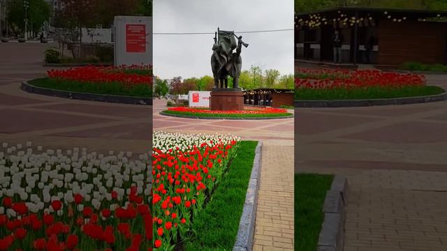 Белгородский парк Победы. Belgorod Victory Park. #белгород  #цветы  #парк  #belgorod  #flowers