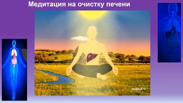 Чистка печени Презентация