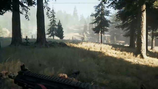 Far Cry 5 - The ray forest...