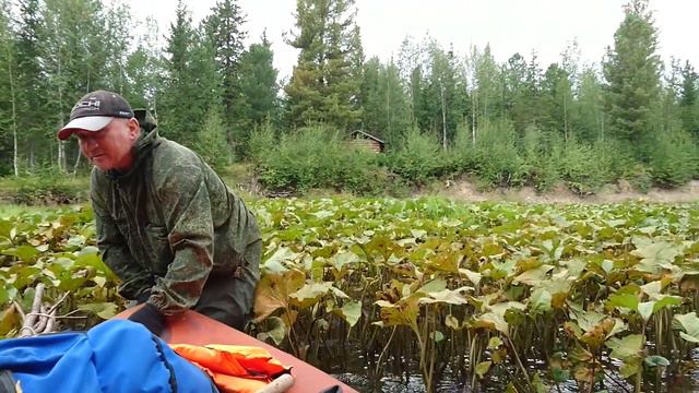 Таёжный релакс: сплав по р. Порожной на севере Енисейского кряжа