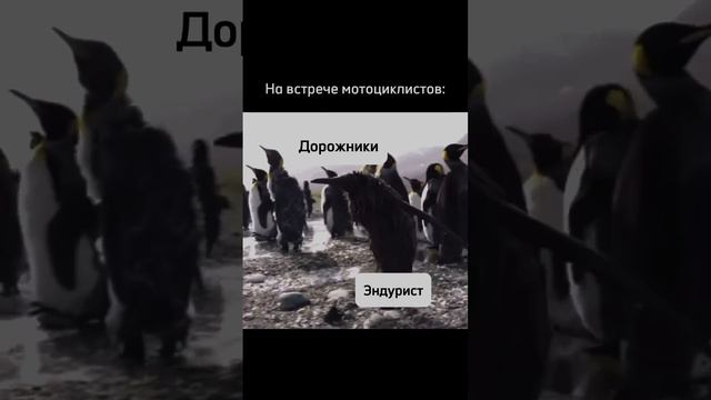 Эндуробудни и будни дорожных байков😆