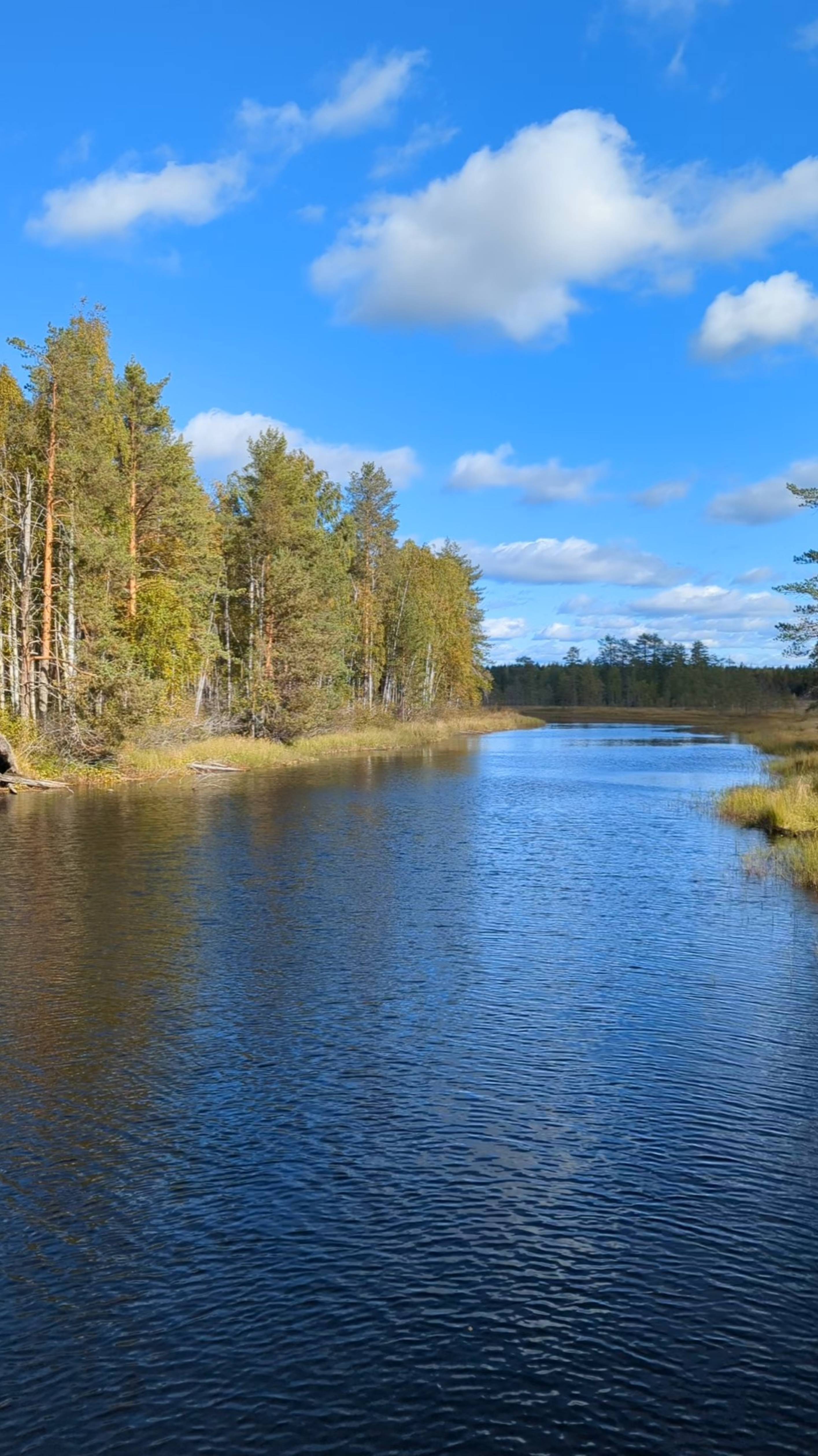 Карельские пейзажи), 22.09.24г.