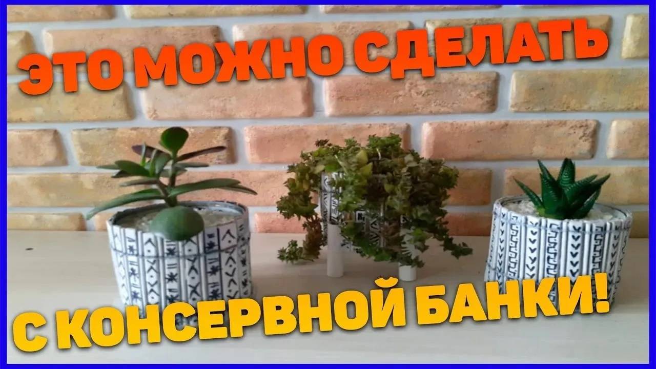 Это можно сделать из обычной консервной банки! Мусор в дело !!!