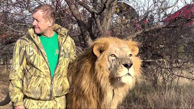 ВИДЕО НА МИЛЛИОН! Олег Зубков с львом Чуком бегут РАЗНИМАТЬ ДРАКУ ЛЬВОВ!