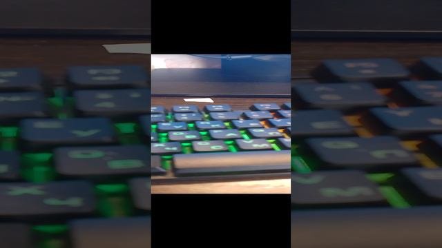 играл я себе в роблокс....
