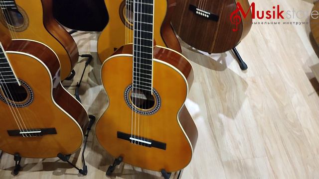 Гитары: Yamaha. Hohner. Cort. Vitess. Euphony! Какую купить гитару?| Мьюзик-Стор/#гитара #купить